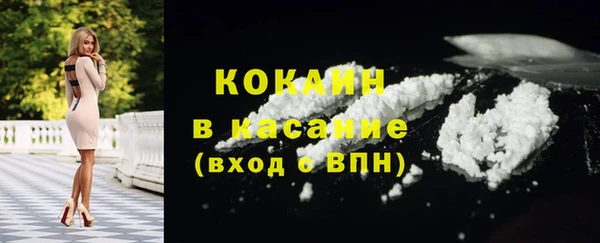 сатива Надым
