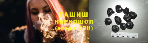 сатива Надым