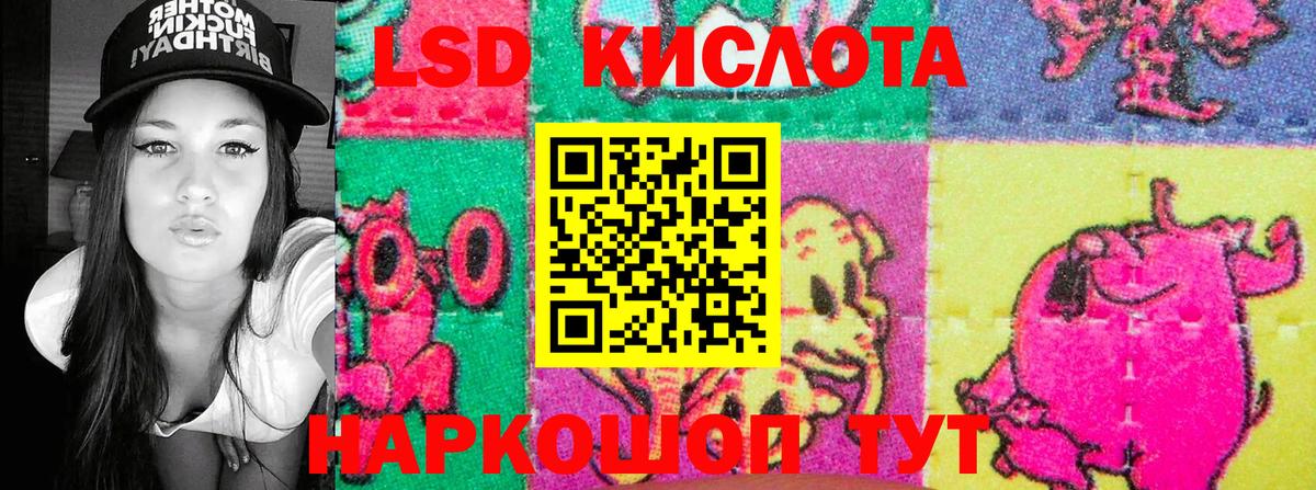 закладки  Вход с VPN  Карасук  Марки NBOMe 1500мкг 