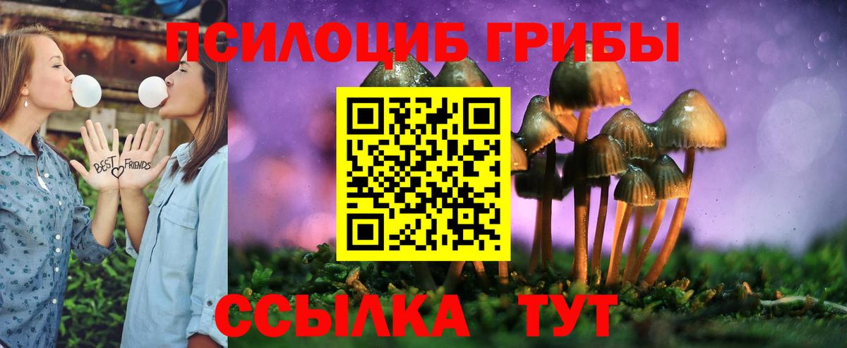Галлюциногенные грибы Magic Shrooms Карасук